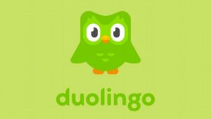 duolingo learn french offline app