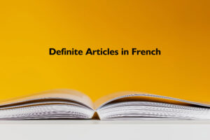 french definite articles learn grammar