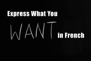 how to express want in french vouloir