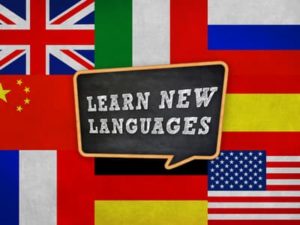best language course