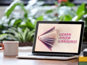 best language crash courses
